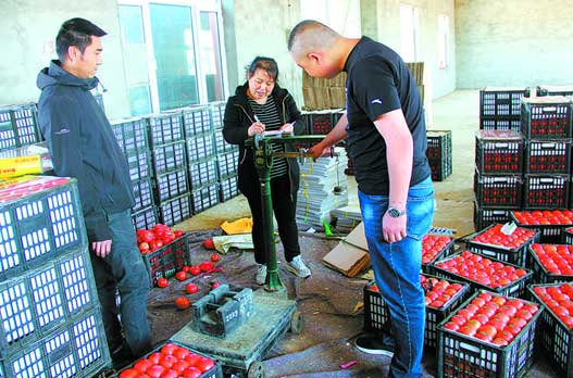 昨日,松山区某农业市场使用地磅秤被市计量检测所检定