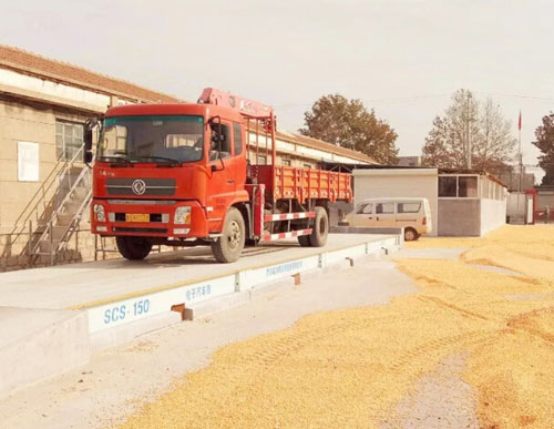 地磅衡器称粮食现场